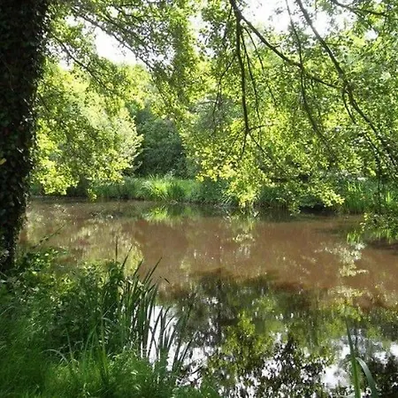 Mobil 5 Pers A Avec Terrasse - Api-1-52-587