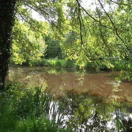 Mobil 5 Pers A Avec Terrasse - Api-1-52-587